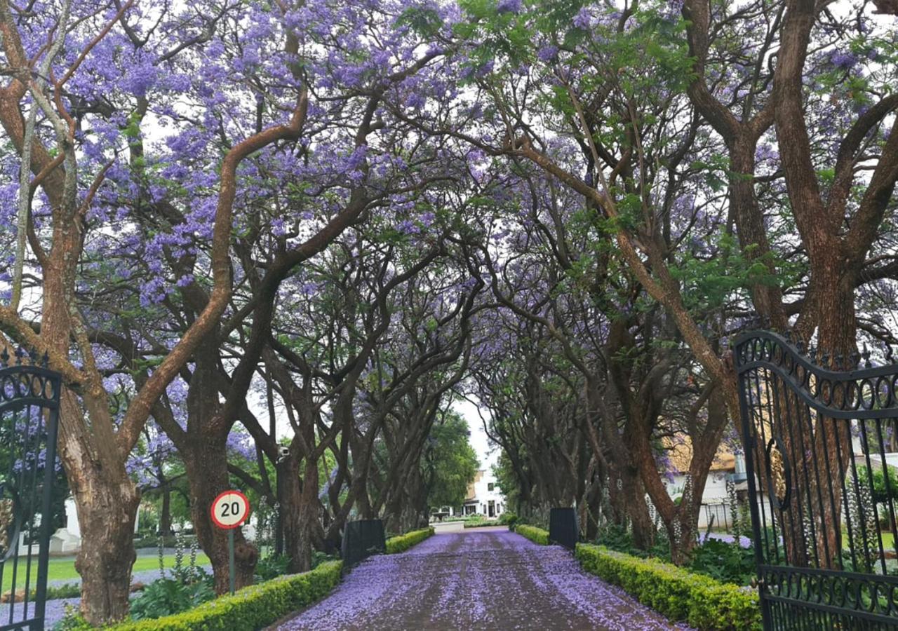 Kievits Kroon Gauteng Wine Estate Pretoria-Noord Esterno foto